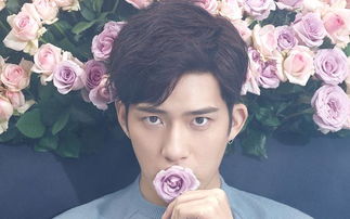 何润东7日涨粉25.6万，竟因粉底液将军小鲜肉意外带火