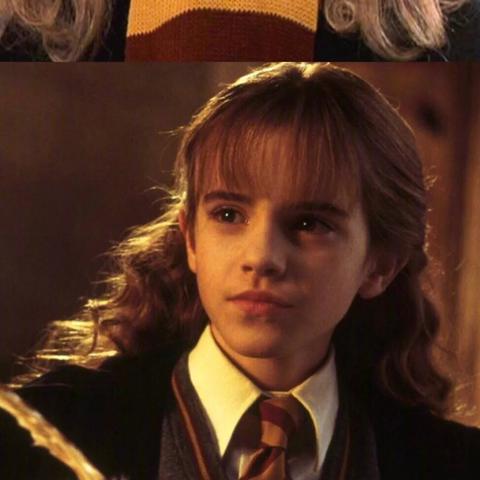 刘亦菲安妮海瑟薇合影获赞 网友称世纪神图