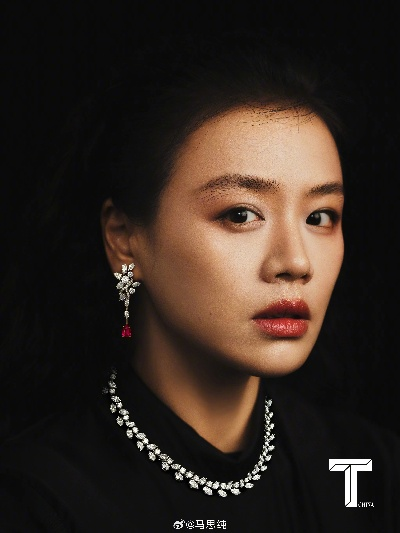 苏有朋马思纯类型标签深度解构，2026演员转型生存法则与角色破局实战指南