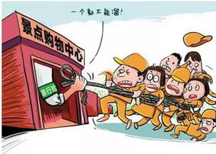 一、开荒失败的三大隐形陷阱