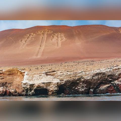 红色沙漠英语圈好评如潮，M站用户评分已达8.5