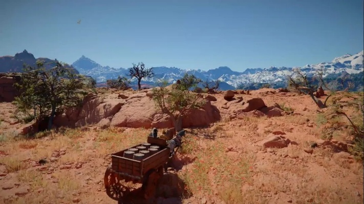 玩家呼声，红色沙漠外观自定义选项亟待丰富