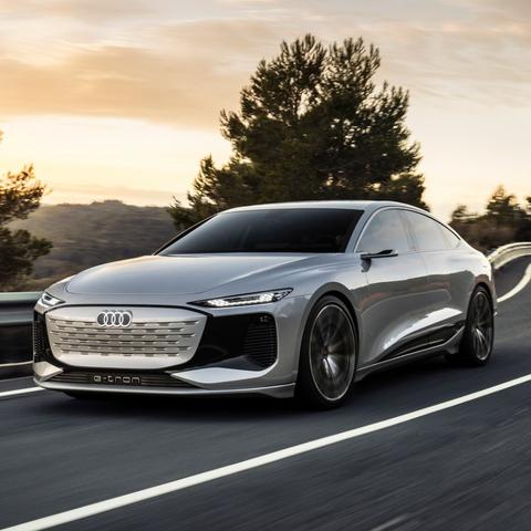 2026年绝版稀有宠物获取全攻略，从概率机制到实战培养的7个核心门道