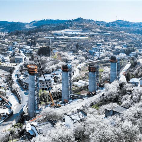 大航海时代OL贸易王之路，2026年动态航线暴利模型全解析