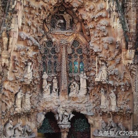 植物精灵全收集终极破解，隐藏种子+星之子100%解锁路线图