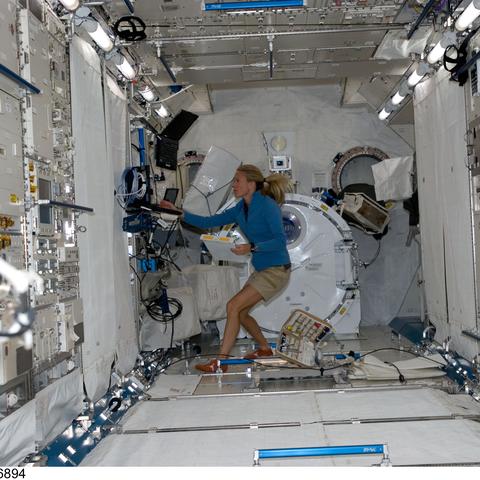 星辰变私服黑话揭秘，从微变到超变的2026年进阶生存手册