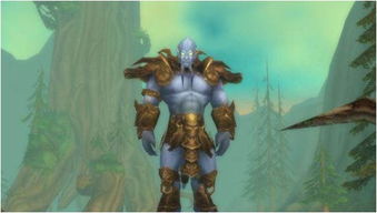 海加尔山掉落终极指南，从雷基·冬寒到阿克蒙德的装备获取策略与T6套装优先级全解析