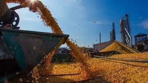 庄园领主粮食危机终极解决方案，2026年最新版三田轮作与贸易暴利模型