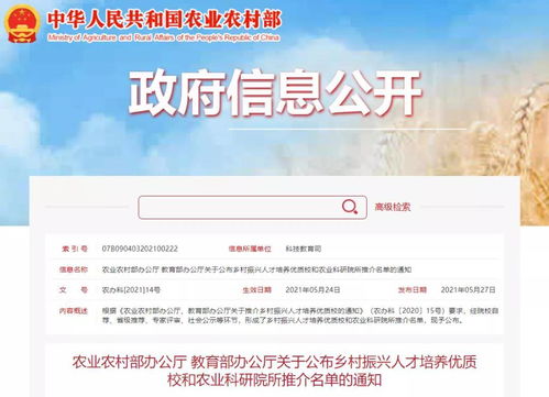 为什么传统职业推荐都在误导你？