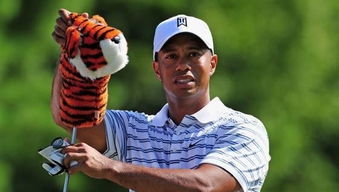 高尔夫巨星老虎伍兹突发被捕,世界顶级运动员涉事引关注 高尔夫巨星老虎伍兹突发被捕,世界顶级运动员涉事引关注