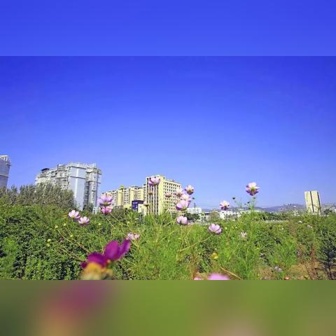 2026天堂2转职终极攻略,从新手到觉醒的完整决策树 2026天堂2转职终极攻略,从新手到觉醒的完整决策树