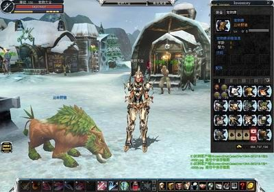 新惊天动地宠物怎么选？2026年最新类型匹配攻略