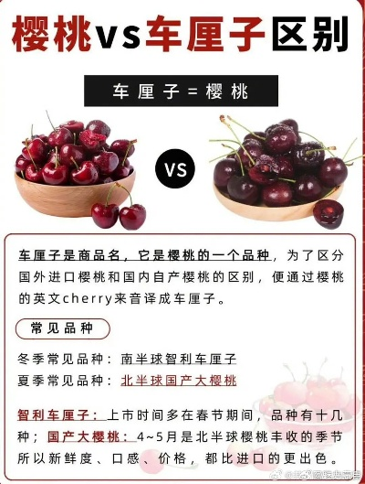 6寸蛋糕塞5斤车厘子翻车？2026烘焙行业避坑指南，从成本核算到维权实操全解析