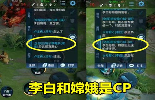 +13强化卷避坑指南，3大类型深度拆解与性价比之王