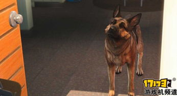 罗技商店现狗爪？玩家被讽狗还藏连招？