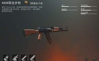 AK-47-S皮肤怎么选？2026年职业哥都在用的5个隐藏神级皮肤