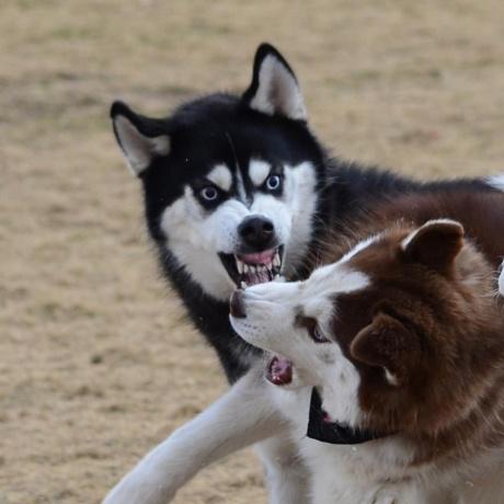 马拉松赛车,世界迎来更新!全新规则玩法闪亮登场,速来体验 马拉松赛车,世界迎来更新!全新规则玩法闪亮登场,速来体验