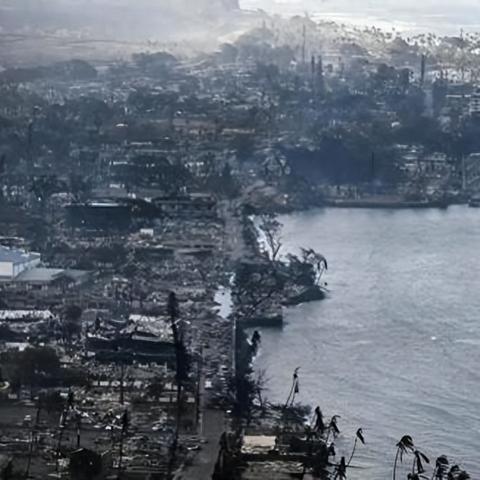 清理海滩 拯救生命 超级解压！Steam第一人称沉浸式“捡垃圾模拟器” 《重建你的岛屿》定档4月9日发售！