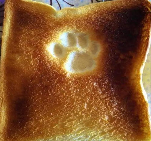 健身房被人围观咋办？也就看了几十遍的动态图