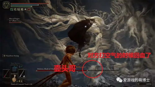 艾尔登法环壶头哥打女武神翻车,诚恳道歉,孩子们,那不是我! 艾尔登法环壶头哥打女武神翻车,诚恳道歉,孩子们,那不是我!