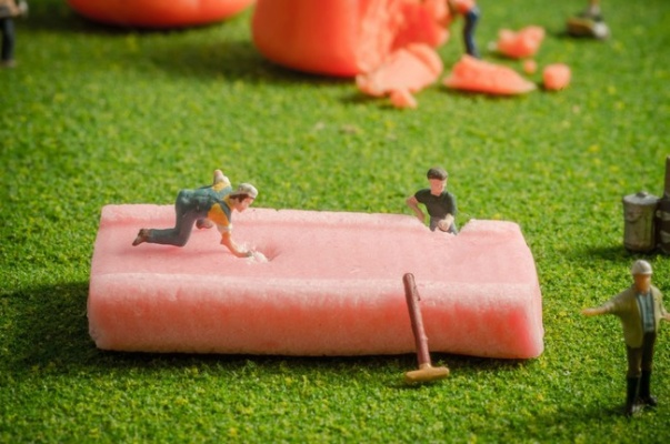 粒粒的小人国2026将登场！变小玩法能否成生活模拟新王牌？