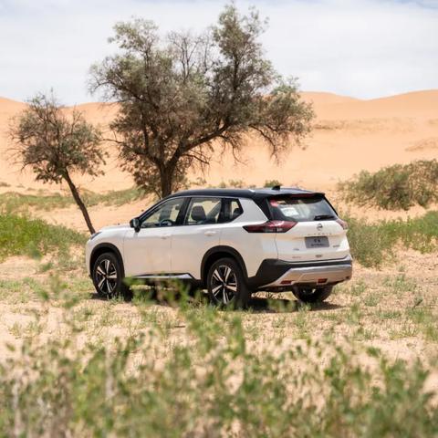 玩家自制MOD惊艳红色沙漠，画质飞跃引爆体验