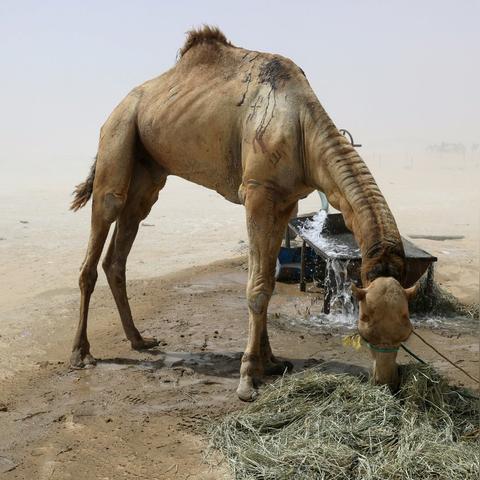 红色沙漠发售近两周，136小时玩家仍滞留首个区域
