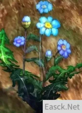 魔兽世界:盲目草采集攻略,悲伤沼泽遍地是宝! 魔兽世界:盲目草采集攻略,悲伤沼泽遍地是宝!