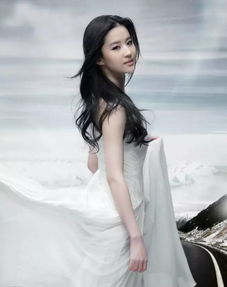 如何解码刘亦菲林允柳岩的2026爆红合照？独家风格剖析与实用指南