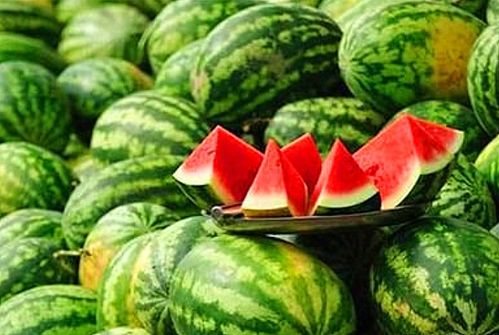 揭秘2026西瓜种植革命，匹配需求，解锁高产与甜度秘籍