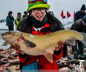 2026年肉鸽游戏怎么玩才爽？核心机制解析与实战登顶攻略