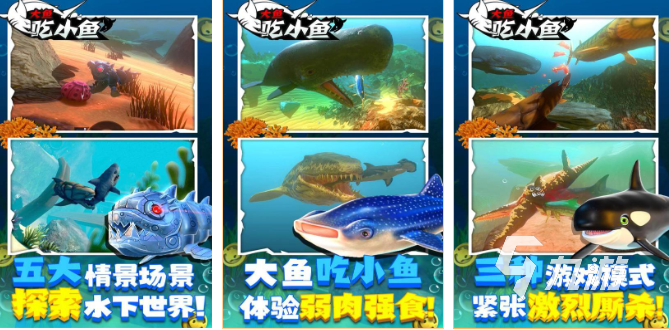 斗战神鱼种大揭秘，2026年必知的钓鱼技巧与烹饪秘籍！