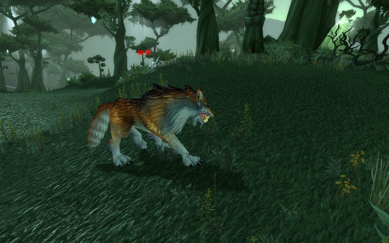 魔兽猎人必看!2026超稀有宠物实用抓捕指南 魔兽猎人必看!2026超稀有宠物实用抓捕指南