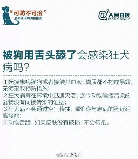狂犬病每年夺命几何?2026权威数据揭示生死线与自救指南 狂犬病每年夺命几何?2026权威数据揭示生死线与自救指南