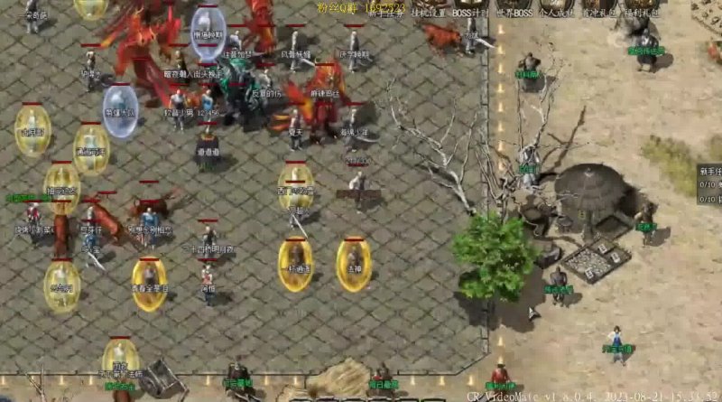 传世私服家族类型深度解析，2026年如何选择最佳帮派提升战力？