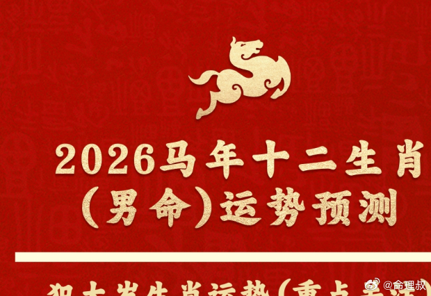 2026欢乐生肖终极攻略，权威推荐的高效玩法，揭秘中奖秘诀与实战门道！