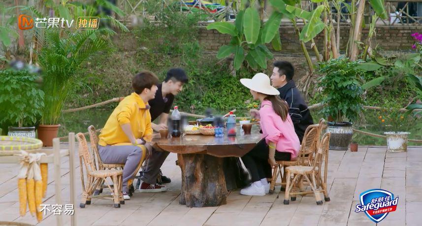 贾乃亮离婚类型探秘，明星婚变如何折射现代婚姻危机与实用修复策略？