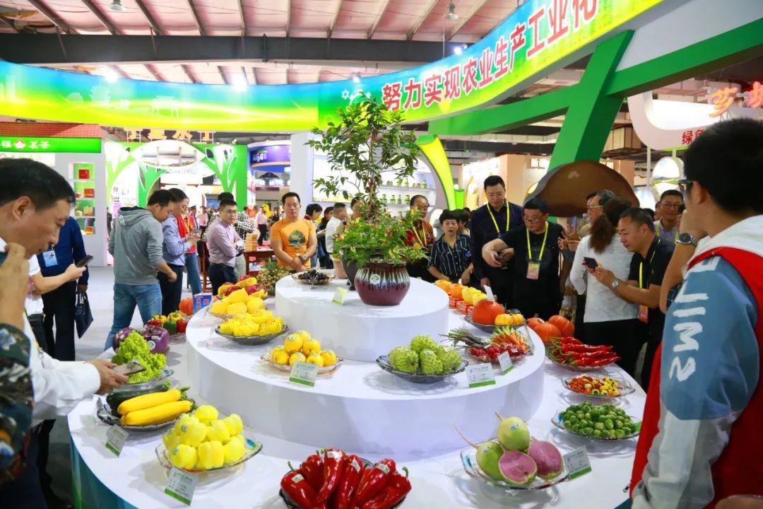 NBA 2K11中文版下载终极解析，2026年如何安全获取经典篮球盛宴？