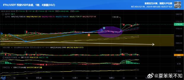 照胆流为何成版本新宠？深度解析高风险高回报的极致操作艺术