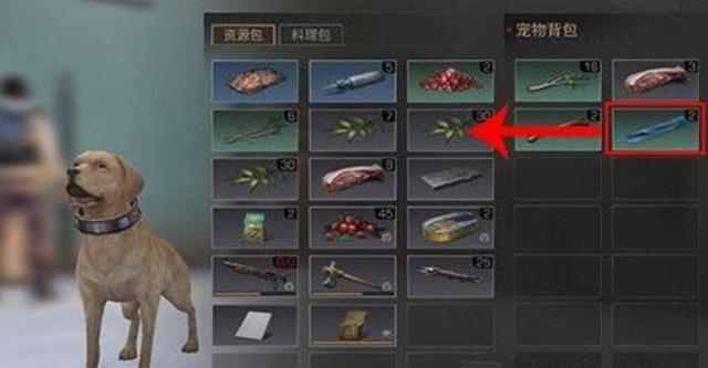 斗战神宠物大全，2026年必杀秘籍！热门需求如何精准匹配宠物类型？