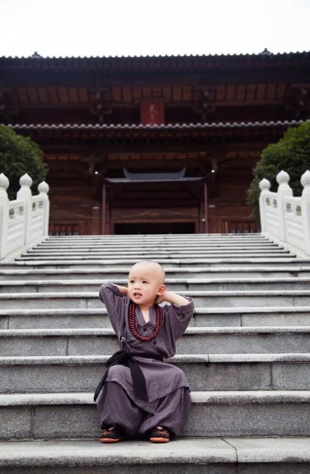 西禅寺小和尚2026终极攻略，如何从辅助蜕变为输出核心？