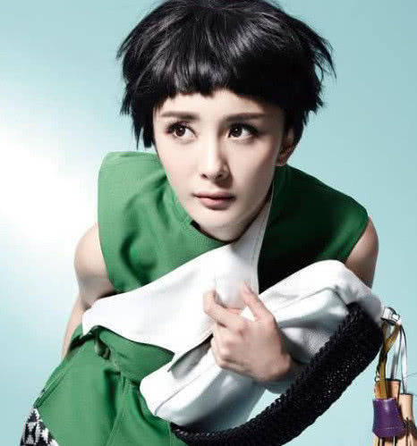 杨幂短发造型终极指南，2026年爆火趋势与精准适配秘诀解密