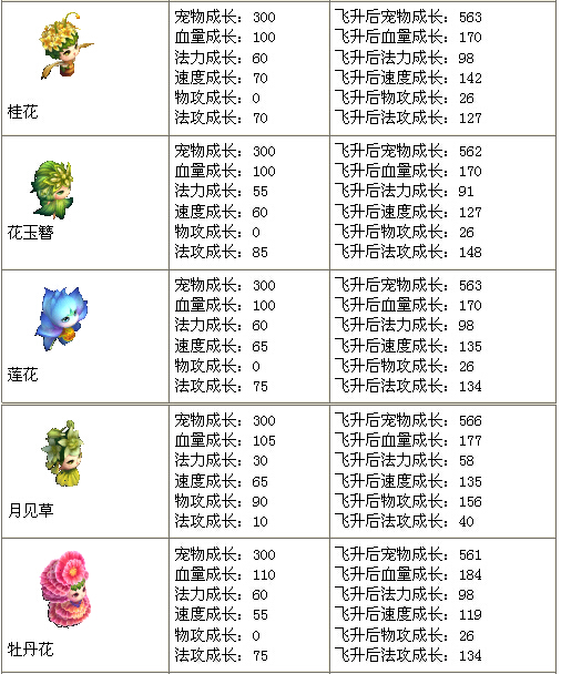 问道宠物名字类型全解析，2026年热门趋势与取名实战指南！