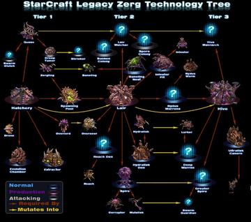 虫群之心国服玩家如何突破天梯瓶颈？深挖虫族单位组合与实战必杀技