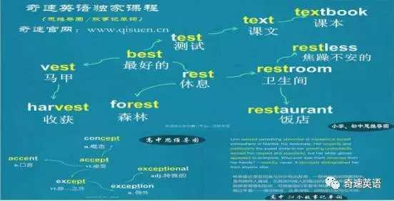 天际公民分类指南，2026年最佳派系选择与隐藏路线全解析