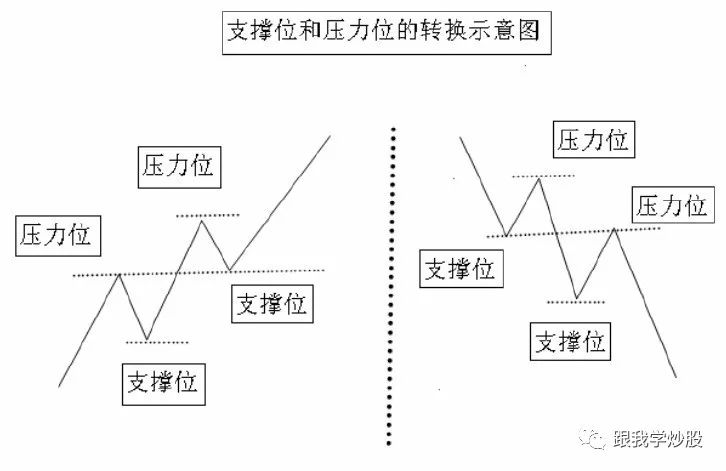 天云草实速刷路线图，2026年新点位全解析，效率翻倍采集法公开！