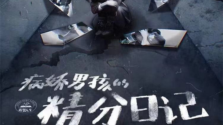 病娇男孩的精分日记如何用双重人格颠覆你的认知？深度解析7大核心谜题