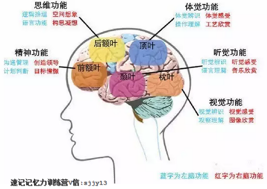 记忆球类型全解析，实战指南助你精准匹配热门需求